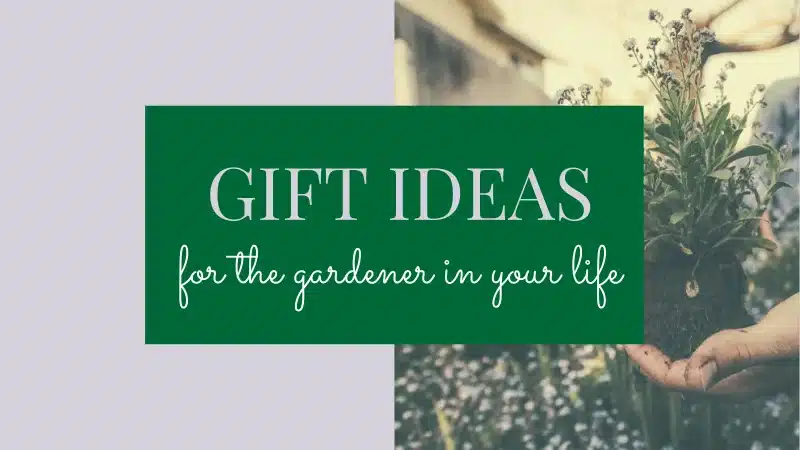 unique gift ideas for gardeners