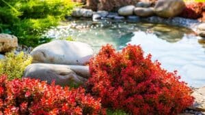 landscape design principles - water feature