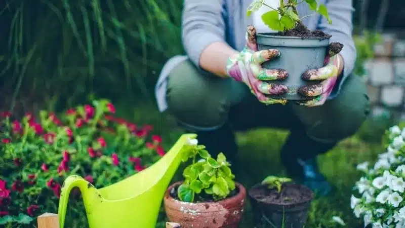 man planting flowers to boost curb appeal