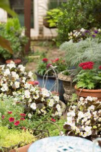 Spring Garden Tour at White Rock