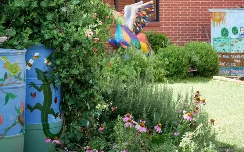 Spring Garden Tour at The Garden at Anne Frank Elementary School in North Dallas