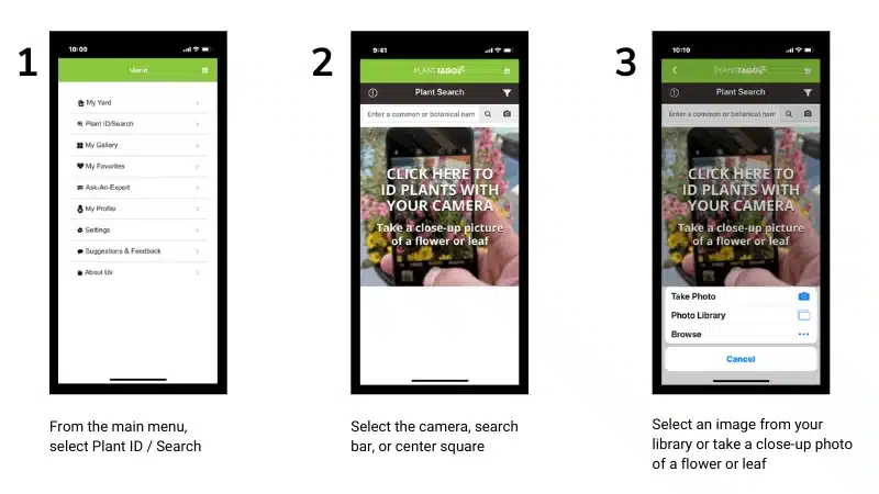 PlantTAGG Plant ID Screenshots