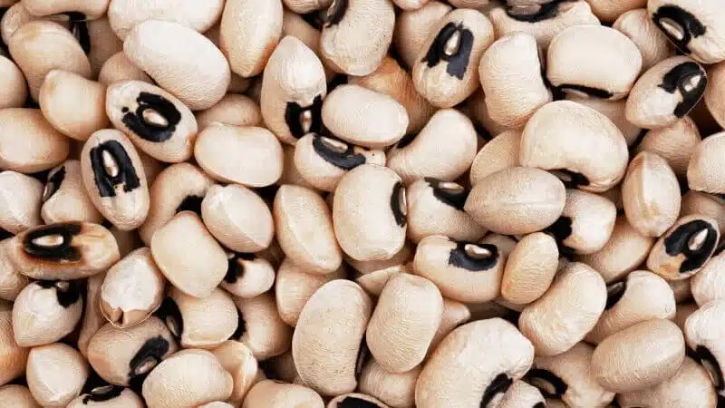 growing vegetables - blackeyed peas