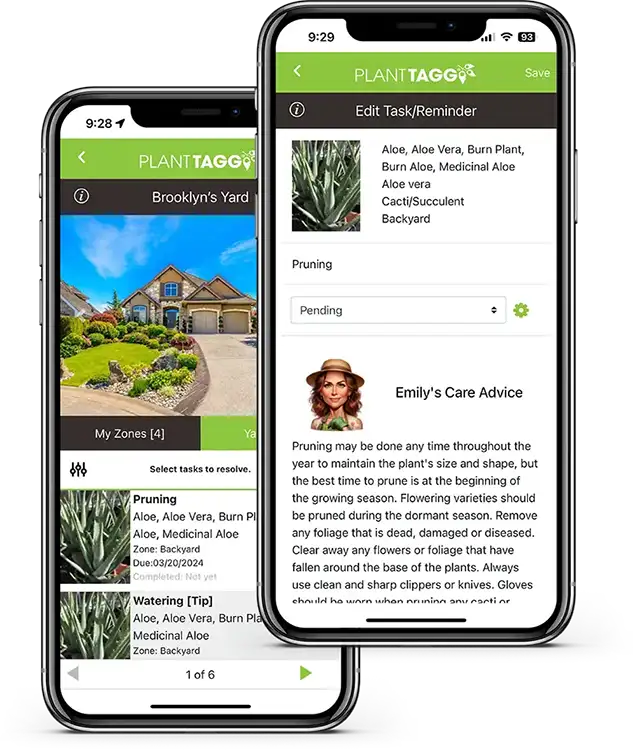 PlantTAGG app