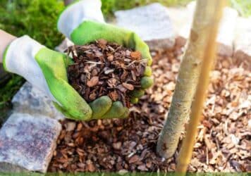 Garden mulch pine bark and mulching tips