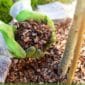 Garden mulch pine bark and mulching tips