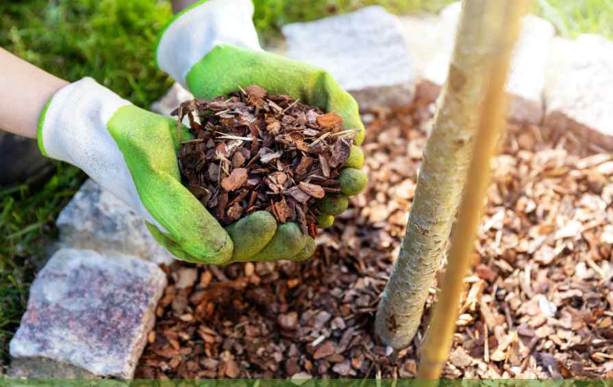 Garden mulch pine bark and mulching tips