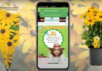 New Tag ID capability on the PlantTAGG app
