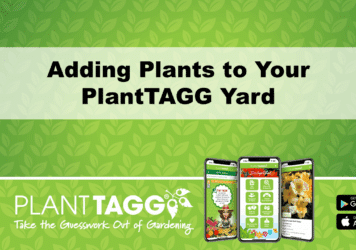 Adding Plants to Your PlantTAGG Yard
