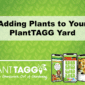 Adding Plants to Your PlantTAGG Yard