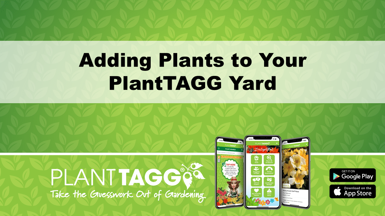Adding Plants to Your PlantTAGG Yard