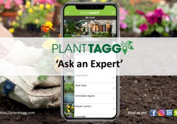 Ask an Expert Overview