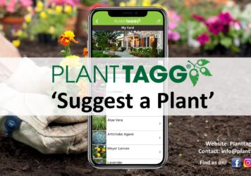 Suggest a Plant Overview Video
