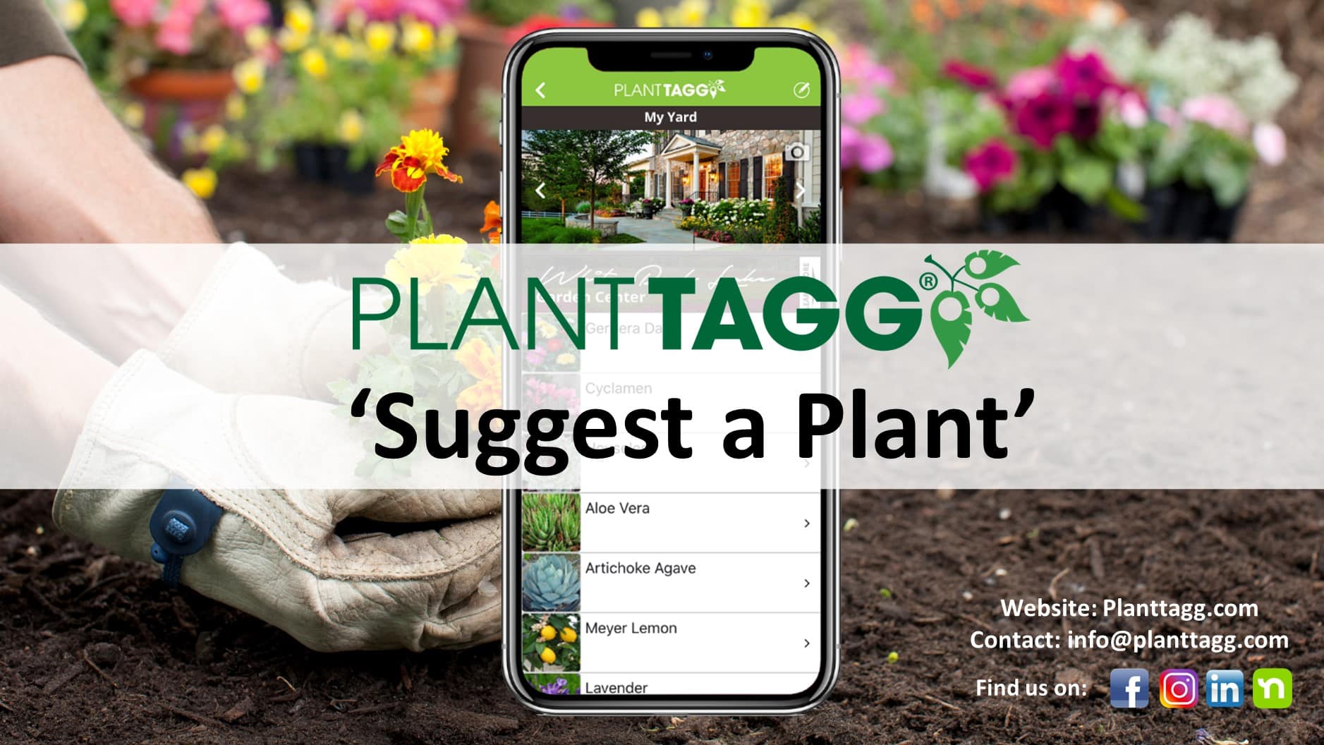Suggest a Plant Overview Video