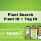 Plant Search Video Tutorial