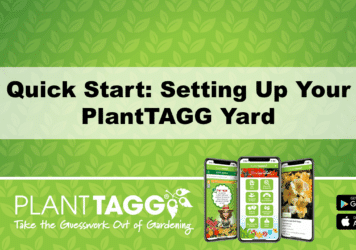 Setting Up Your Yard