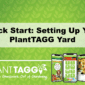 Setting Up Your Yard