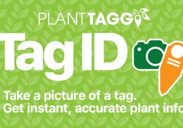 Identify Plants with Tag ID