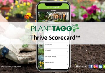 Thrive Scorecard Tutorial Video