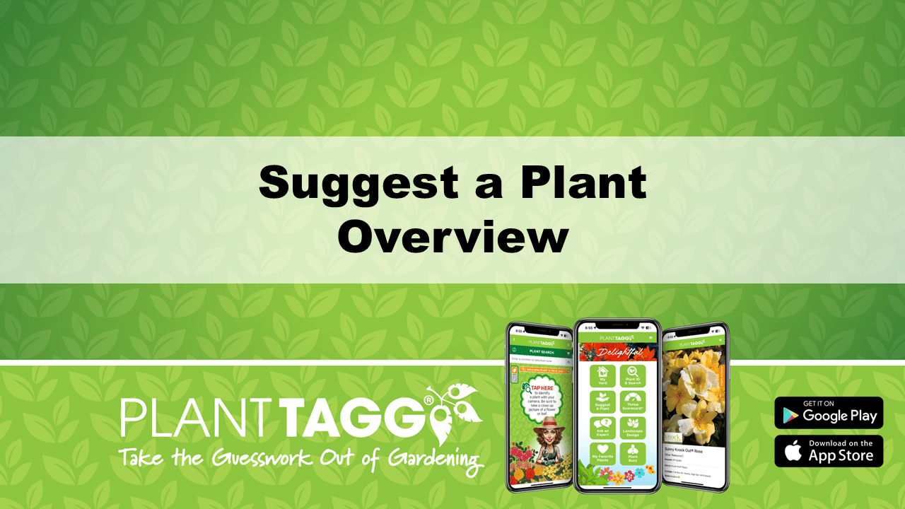 Suggest a Plant Video