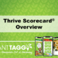 Thrive Scorecard Overview Video