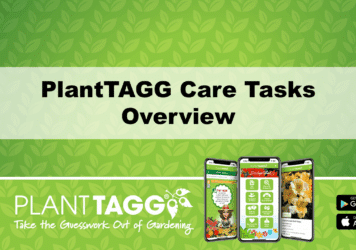Plant Care Tasks Overview Video