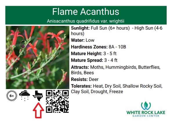 native plant bench card