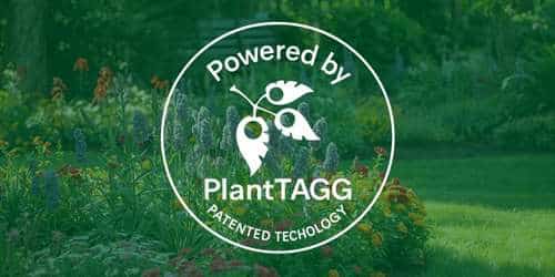 flower garden showing planttagg patents badge