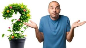 Guy with gardening questions