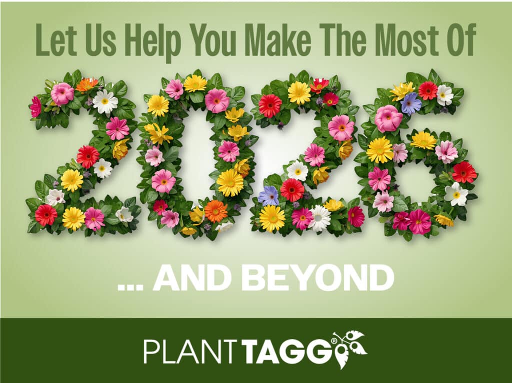 Let us help you make the most of 2026