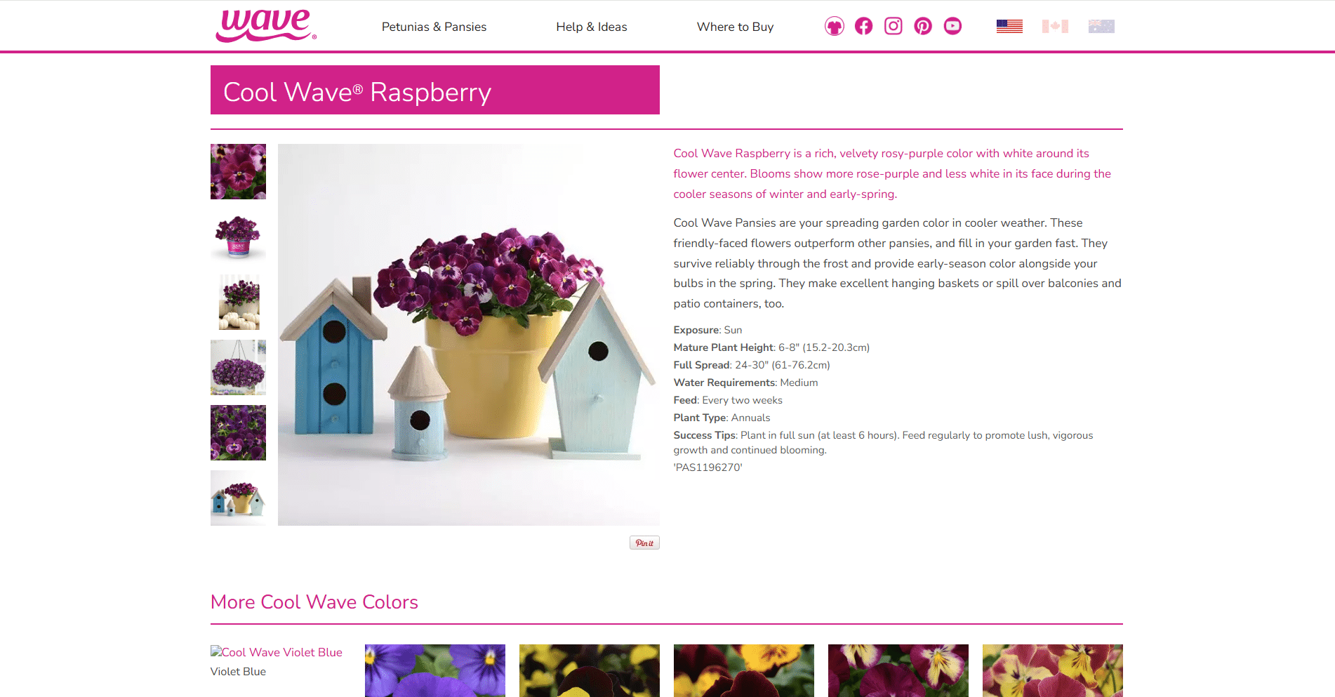 Cool Wave Raspberry pansy product page
